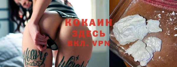 гашик Алзамай