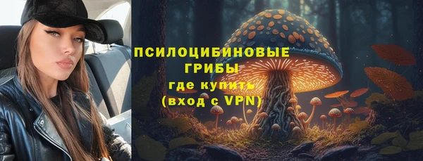 амфетамин Алексеевка