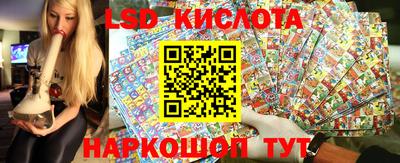 mdpv Славгород
