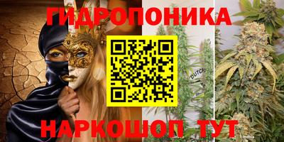 молекула духа Сланцы