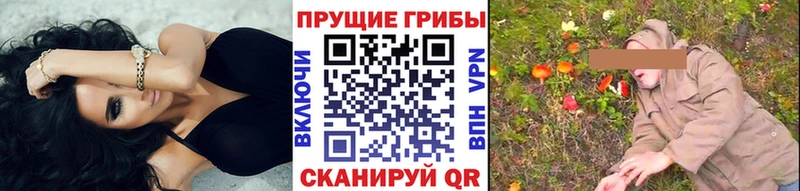 Галлюциногенные грибы прущие грибы  где купить наркотик  Рубцовск 